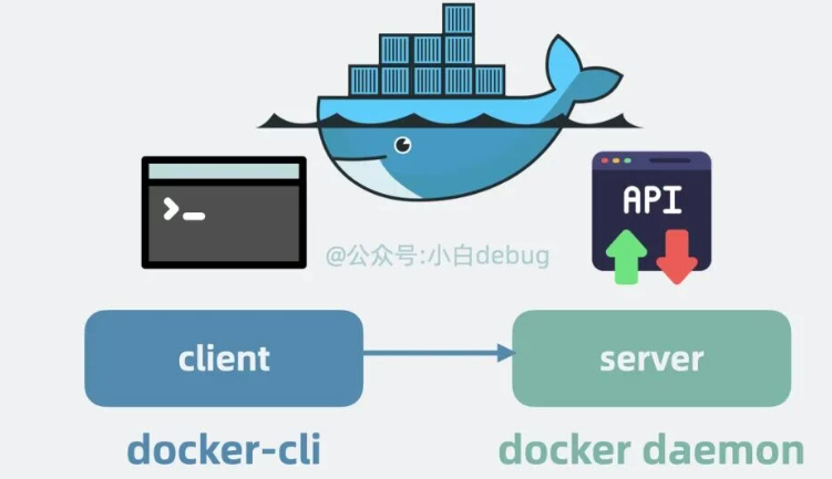 docker是C/S架构