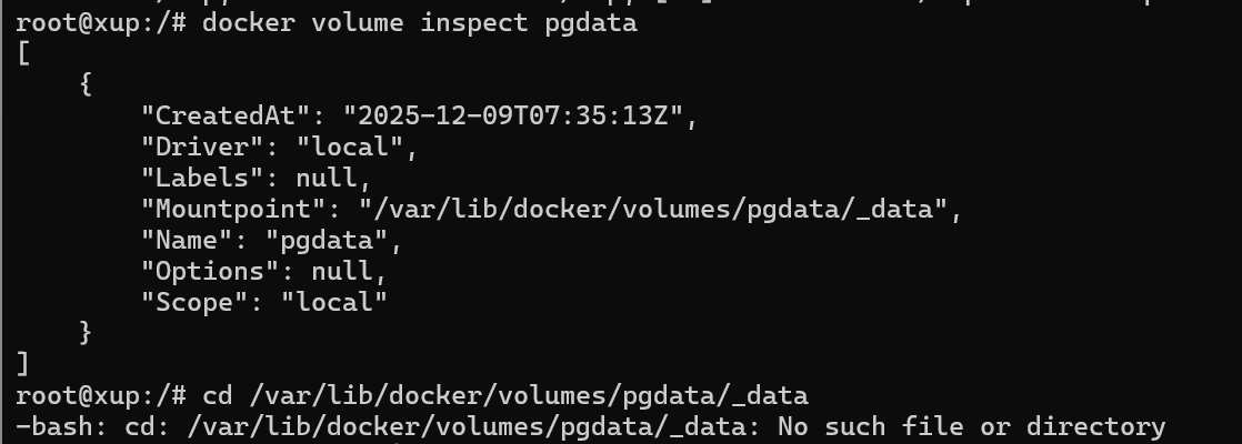 image-20251209153907335