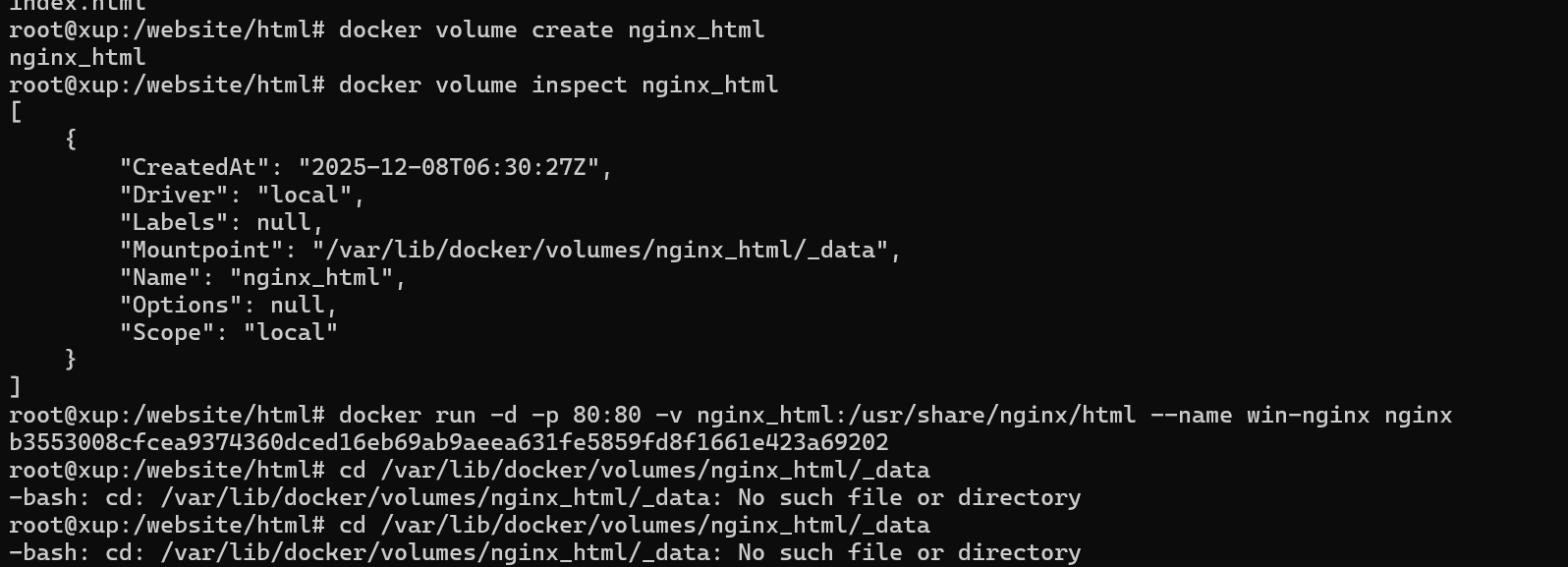image-20251210074846775
