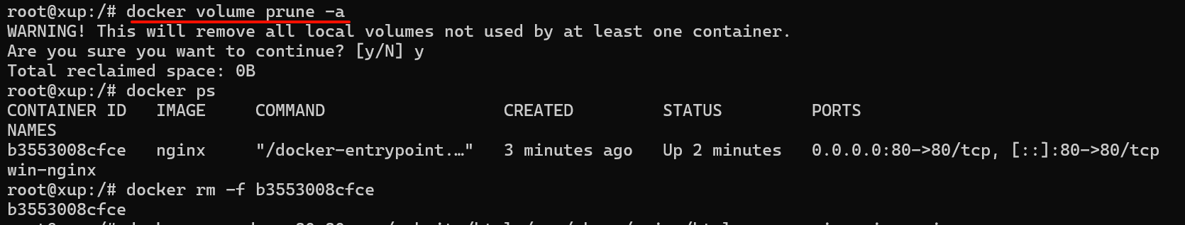 image-20251210075205837