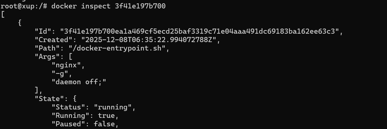 image-20251210075317849